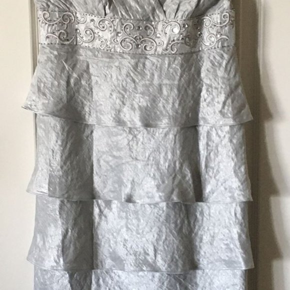 Platinum Dress with Sequins - Picture 2 of 6